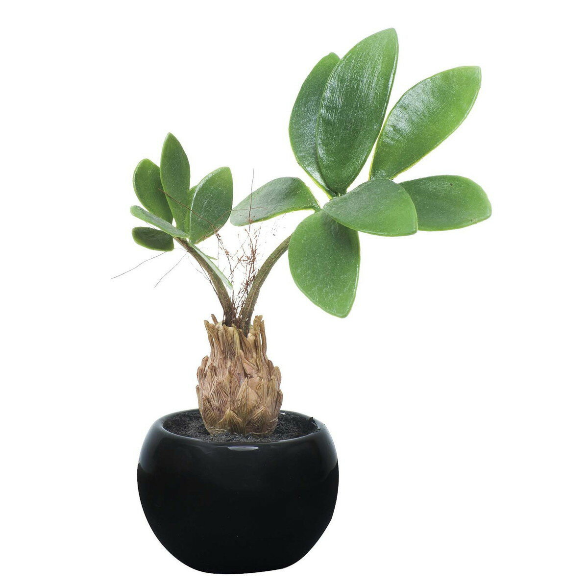 パキラインポット(ポリ製) 520A25 W14×D15×H20cm【2024年版 人工観葉植物 光の楽園 造花 フェイク リビング 玄関 アートフラワー インテリアグリーン】