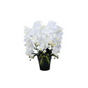 ロイヤル胡蝶蘭5本立W 532A300 W60×D50×H76cm【2024年版 人工観葉植物 光の楽園 造花 フェイク リビング 玄関 アートフラワー インテ...