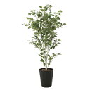 白樺1.4 607K275 W60×D60×H140cm【2024年版 人工観葉植物 光の楽園 造花 フェイク リビング 玄関 アートフラワー インテリアグリー...