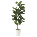 カシワバゴム1.35 609K240 W55×D55×H135cm【2024年版 人工観葉植物 光の楽園 造花 フェイク リビング 玄関 アートフラワー インテ...