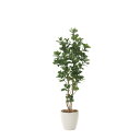 クルシア1.6 719K390 W50×D42×H160cm【2024年版 人工観葉植物 光の楽園 造花 フェイク リビング 玄関 アートフラワー インテリアグ...