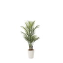 アレカパーム1.35(ポリ製) 720A275 W65×D60×H135cm【2024年版 人工観葉植物 光の楽園 造花 フェイク リビング 玄関 アートフラワ...