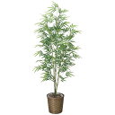 青竹 1.8 778K370 W75×D70×H180cm【2024年版 人工観葉植物 光の楽園 造花 フェイク リビング 玄関 アートフラワー インテリアグリ...