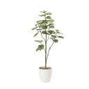 ウンベラ—タツリ—1.8 805A430 W75×D70×H180cm【2024年版 人工観葉植物 光の楽園 造花 フェイク リビング ...