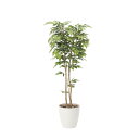 ケヤキ1.8 807K430 W70×D70×H180cm【2024年版 人工観葉植物 光の楽園 造花 フェイク リビング 玄関 アートフラワー インテリアグリ...