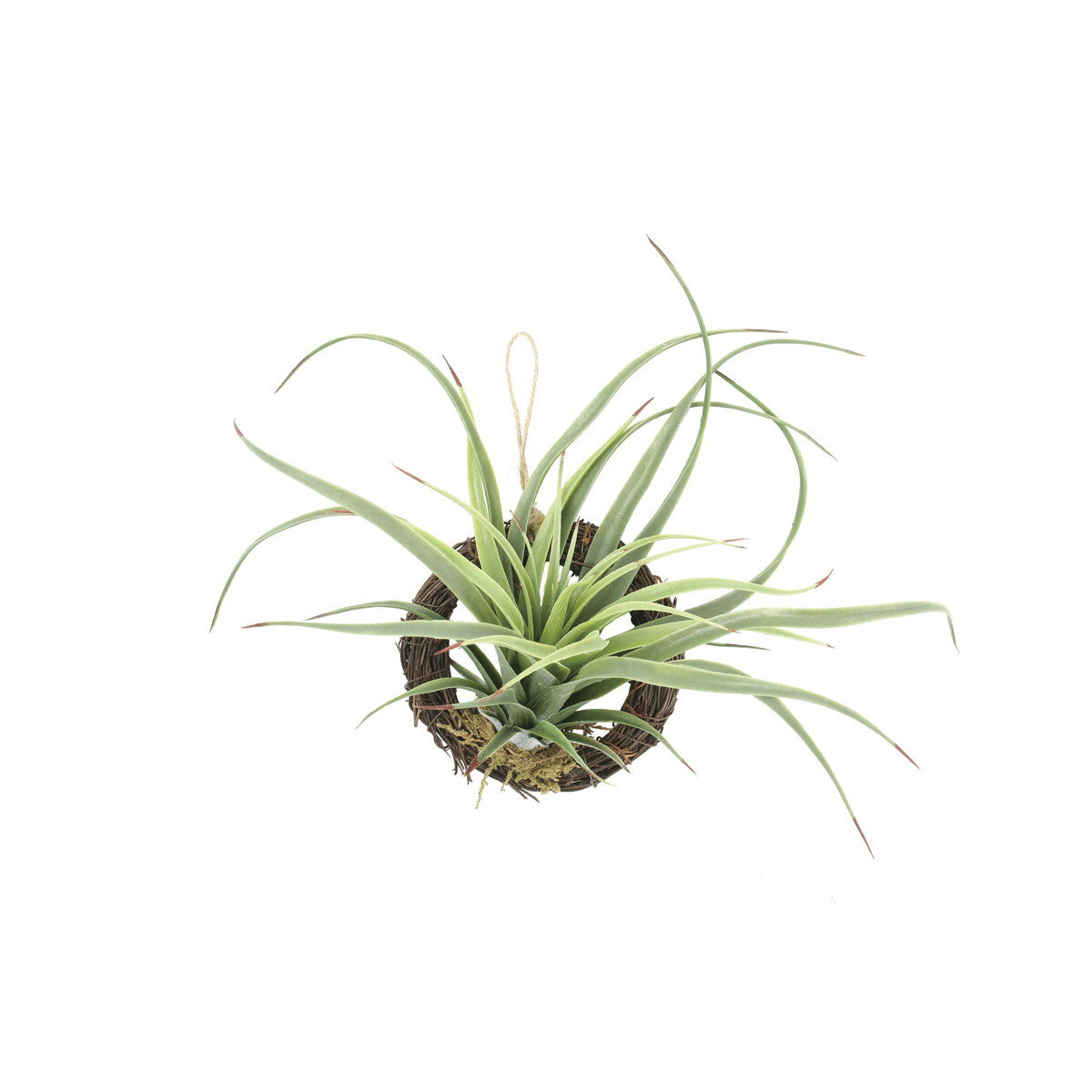 エア—プランツR(ポリ製) 866K10 W26×D13×H19cm【2024年版 人工観葉植物 光の楽園 造花 フェイク リビング 玄関 アートフラワー インテリアグリーン】