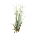エア-プランツL(ポリ製) 867K20 W20×D15×H29cm【2024年版 人工観葉植物 光の楽園 造花 フェイク リビング 玄関 アートフラワー インテリアグリーン】