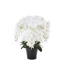 フレッシュ胡蝶蘭8本立W 877A300 W60×D48×H75cm【2024年版 人工観葉植物 光の楽園 造花 フェイク リビング 玄関 アートフラワー イン...