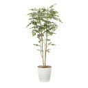 マウンテンアッシュ1.8 900K400 W80×D70×H180cm【2024年版 人工観葉植物 光の楽園 造花 フェイク リビング 玄関 アートフラワー イ...