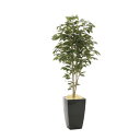 アーバンベンジャミン1.8 946K650 W80×D70×H180cm【2024年版 人工観葉植物 光の楽園 造花 フェイク リビング 玄関 アートフラワー ...
