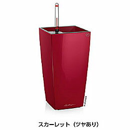 ھǰסۥ塼ץߥ ޥå塼(å顼å)奻åդ 13.5߱13.5߹⤵26.5...