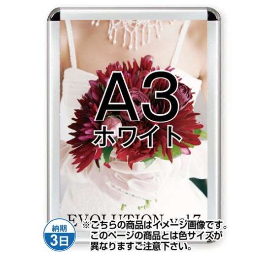 ݥå44R() A3ۥ磻 TSK-PG-44R-A3W(N)ڥե졼ॵW348H471mm ե졼44mm...