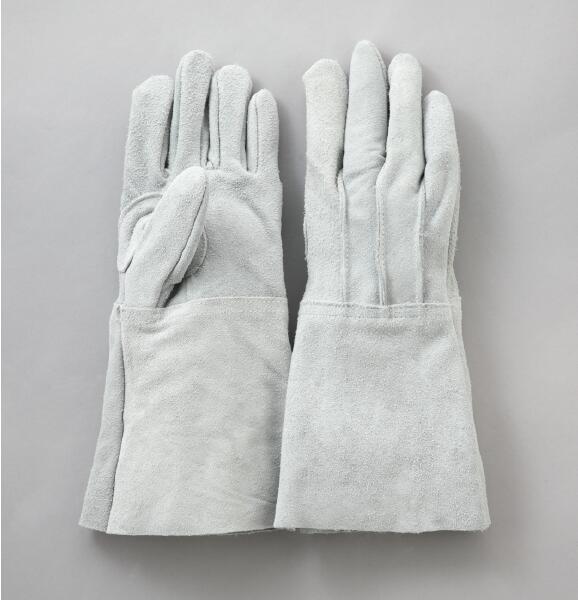 柏田製作所　革手　5本指 牛床革 502-BG　10双(4)