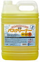 大一産業 業務用洗剤 カビが生えにくくなるバスクリーナー 5kg(3)
