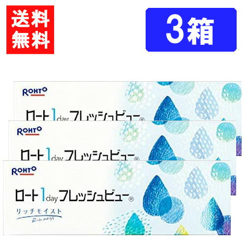 ロート ワンデーフレッシュビュー リッチモイスト（30枚入）×3箱 送料無料 RHOTO 1DAY フレッシュビュー