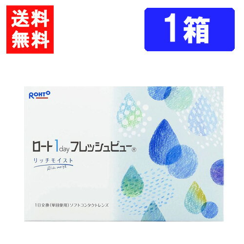 ロート ワンデーフレッシュビュー リッチモイスト（90枚入）×1箱 送料無料 RHOTO 1DAY フレッシュビュー