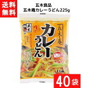 送料無料 五木食品 五木庵カレーうどん 225g ×40袋 袋麺 レトルト インスタント 食材 和食材 カレー うどん 即席めん 五木食品