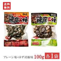 宮崎名物 日向屋 鶏炭火焼 プレーン味 ゆず胡椒味 100g 各1袋 国産 無添加 焼き鳥 焼鳥 やきとり