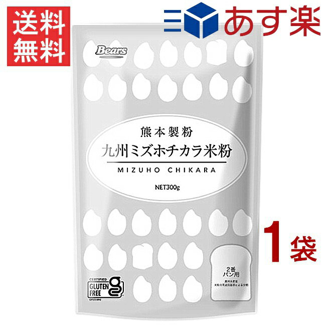 九州ミズホチカラ米粉 300g 1袋 グルテンフリー 熊本製粉 九州産 ミズホチカラ100% あす楽