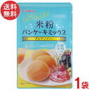 波里 米粉パンケーキミックス 200g×1袋 グルテンフリー アルミフリー