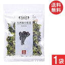 吉良食品 乾燥野菜 九州産 小松菜 40g×1袋 送料無料