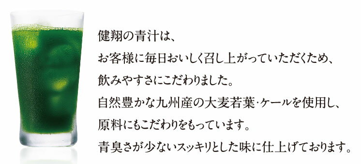 送料無料 健翔 青汁のススメ 12種類の素材 ...の紹介画像2