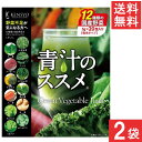 送料無料 健翔 青汁のススメ 12種類の素材 20包入×2袋 国産 九州産 美味しい 美味 大麦若葉 ケール 明日葉 契約農家 栄養 無農薬 温暖 マイルド ビタミンE カルシウム 鉄分 栄養 バランス