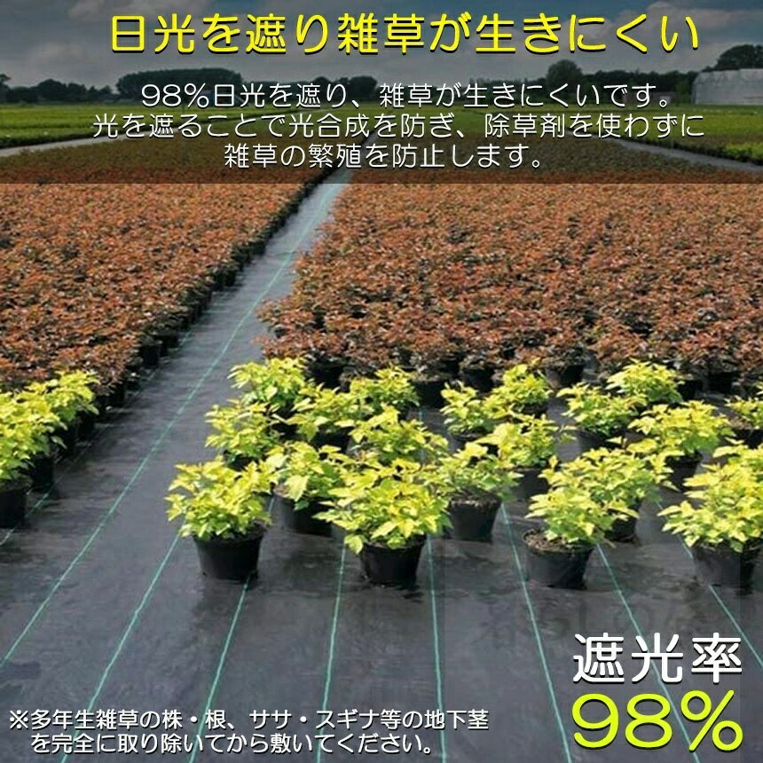 防草シート 100m X 1m 除草シート 園芸用シート 雑草シート UV剤入り 高透水 農業 ...