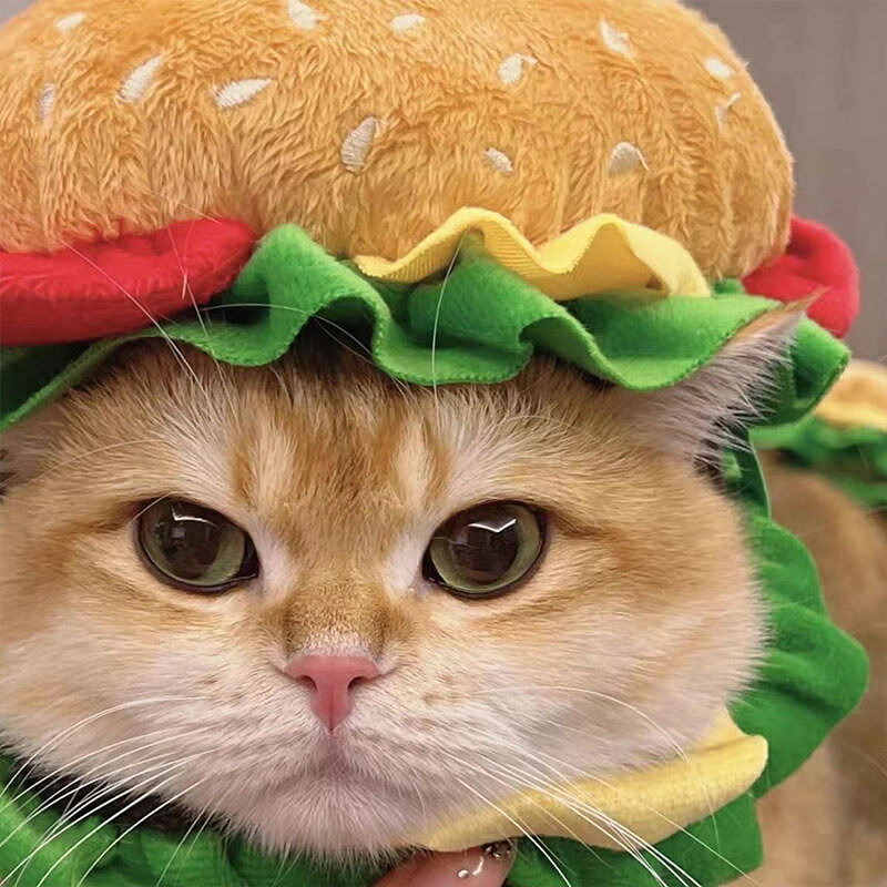 ハンバーガー ネコ 被り物 ハロウィン ペット 帽子 コスプレ 衣装 仮装 コスチュー...