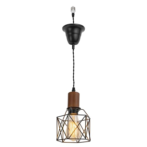 E26プラグ ダウンライト対応 賃貸対応 ダウンライト用ペンダントライト ダウンライトをペンダントライ..