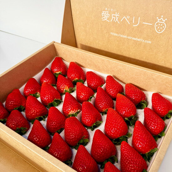 三重限定オリジナル品種 うた乃 大粒高級苺(30個入)ギフトボックス　3営業日以内に発送予定