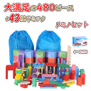 「あす楽」 積み木 ドミノ倒し 480個 おもちゃ ギミック 40種 ギミック 出産祝い 仕掛け 43種セット 木製 カラフル 誕生日 プレゼント 並べる用道具...