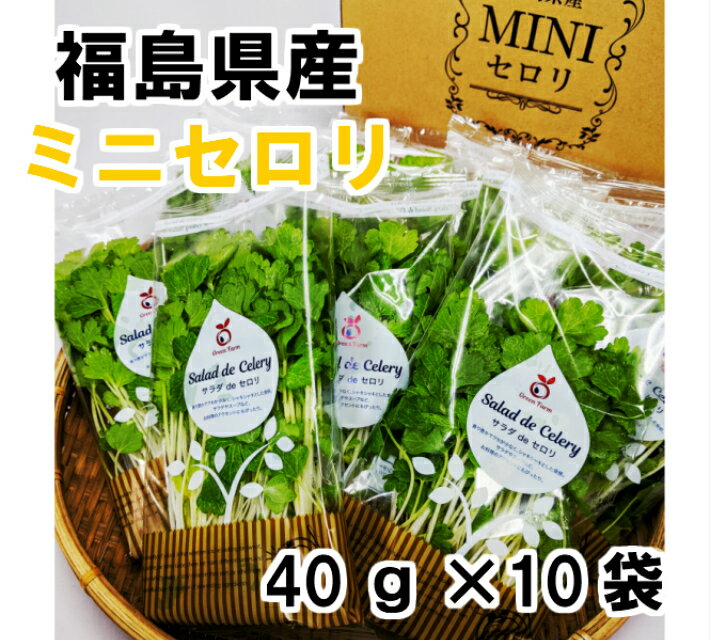 製品仕様 商品名 福島県産　ミニセロリ 名称 ミニセロリ 内容量 40g×10袋 生産地 福島県 商品説明 葉も茎も全部食べられます！ シャクシャクとした食感と、セロリの爽やかな香りが食欲をそそらせます サラダだけでなく、和食・洋食・中華料理の アクセントにしていただいても お楽しみいただけます 保存方法 乾燥を防ぐため袋のまま冷蔵庫へ入れ お早めにお召し上がりください