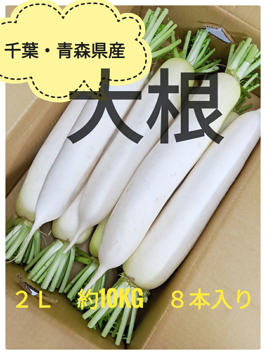 送料無料！！千葉・青森県産だいこん2Lサイズ　約10kg　8本入り大根　千葉県産　青森県産　まとめ買い..