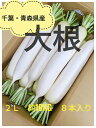 送料無料！！千葉・青森県産だいこん2Lサイズ　約10kg　8本入り大根　千葉県産　青森県産　まとめ買い　お買い得