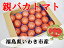 福島県いわき市産親バカトマト約4kg　L〜Mサイズ　18〜24玉トマト　まとめ買い　お買い得　福島県産