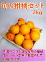 旬の柑橘セット　2kg