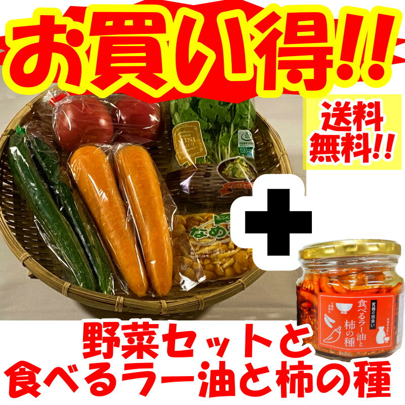 ̵!!ڥåȤȿ٤顼ȳμΥå