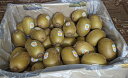 市場直送!!鮮度バツグン!!ニュージーランド産サンゴールドキウイ 25玉サイズ41個入~30玉サイズ48個入 その1