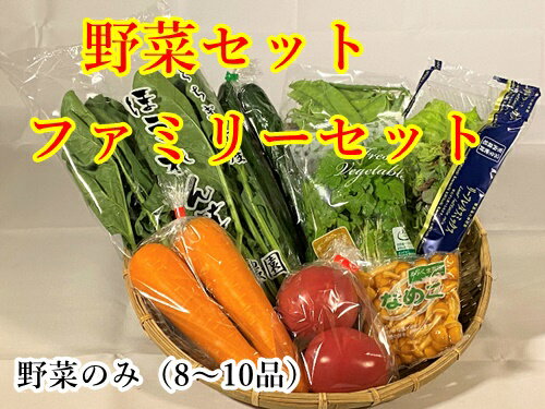 Ծľ?̵ڥåȥեߥ꡼åڤΤ褪ڻԾľ£ʪ򹯳