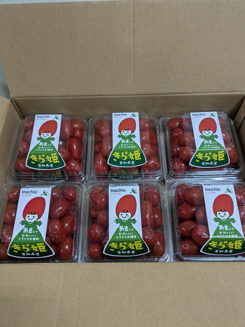 送料無料‼　愛知県産きら姫トマト180g×12入　まとめ買い　箱売り　ミニトマト　業者向け　業務用　サラ..