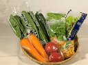送料無料 野菜セット ファミリーセット 野菜8種類 野菜詰め合わせ 家族 一人暮らし 仕送り プレゼント ギフト 市場直送 新鮮野菜