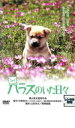 【バーゲンセール】【中古】DVD▼ハラスのいた日々 レンタル落ち ケース無