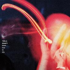 CD▼TESLA doesn’t know how to cry. 通常盤 レンタル落ち ケース無