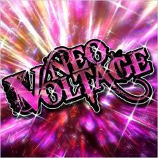 CD▼NEO VOLTAGE レンタル落ち ケース無