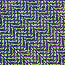 CD▼Merriweather Post Pavilion 輸入盤 レンタル落ち ケース無