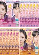 【バーゲンセール】全巻セット【中古】DVD▼魔女の法廷(14枚セット)第1話～第24話 最終 字幕のみ レンタル落ち ケース無