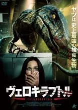 �ڥС����󥻡���ۡ���š�DVD������������ץȥ� ��󥿥���� ������̵