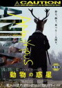 【バーゲンセール】【中古】DVD▼アノニマス・アニマルズ 動物の惑星 レンタル落ち ケース無