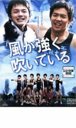 �ڥС����󥻡���ۡ���š�DVD�����������ᤤ�Ƥ��� ��󥿥���� ������̵